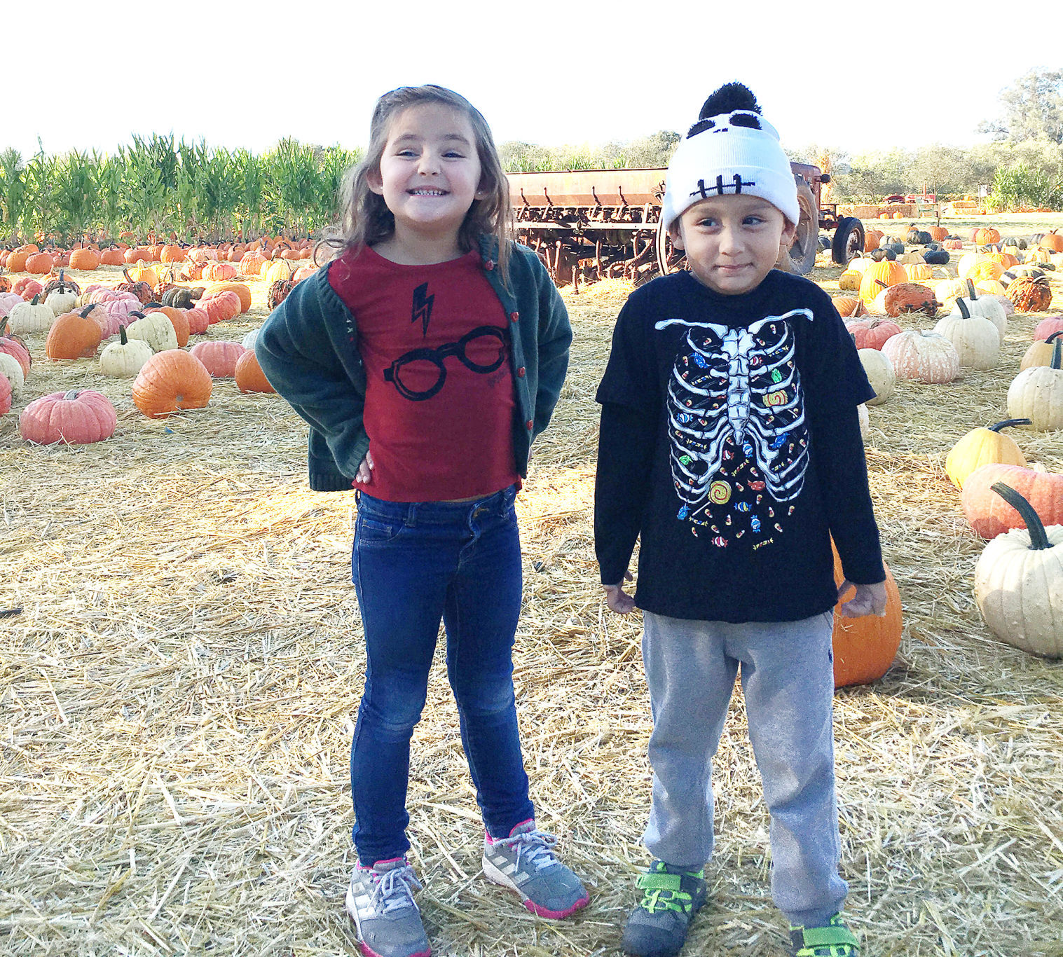 Pumpkin Patch